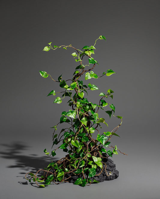 Poison Ivy - Arkham Asylum